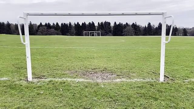 Dog fouling on Ecclesall Rangers football pitch