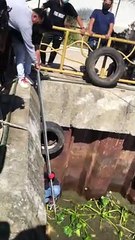 Film Crew Save Doggy From Murky Water