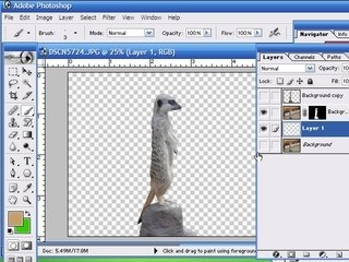 Advanced Background Removal Techniques