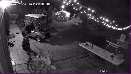 Niece Nearly Takes Out Nativity Scene