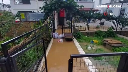 Bodrum’u sel vurdu! Evleri su bastı, sokak hayvanları boğuldu