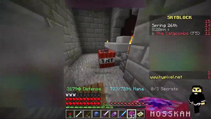 Guide, trap room 2 - Hypixel's skyblock dungeons, Minecraft