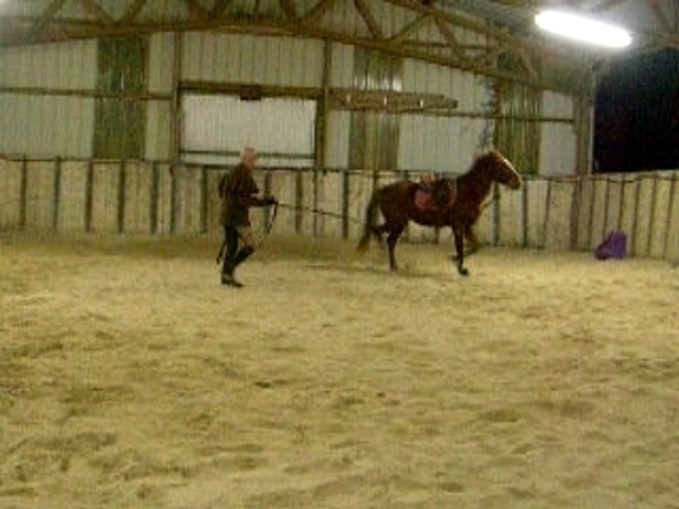 quidam longe