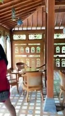 REVIEW REKOMENDASI PENGINAPAN MURAH HOTEL UNIK ALA TRADISIONAL