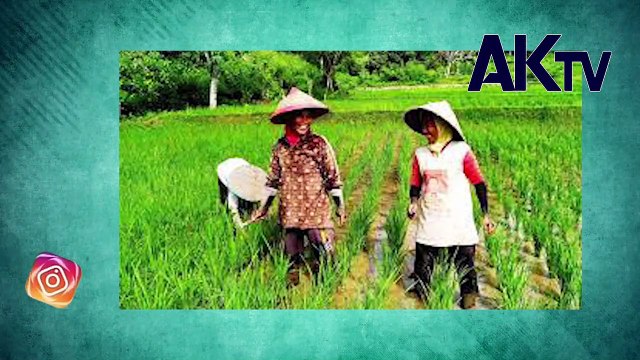 ইউটিউব বদলে দিয়েছে যে গ্রামের অর্থনীতি