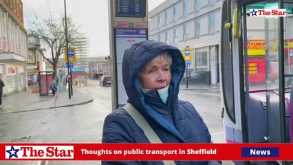 What do you think of public transport in Sheffield?