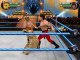 WWE All-Stars online multiplayer - ps2