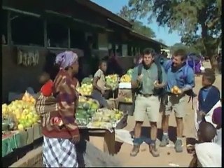 The big five and little five