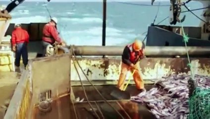 Undercover Boss (Us) S03 - Ep05 American Seafoods Hd Watch