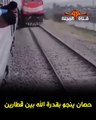 حصان ينجو بقدر الله ما بين قطارين بمصر