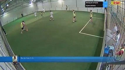 But de theo (1-3) - ANCELIN CITEOS Vs TEAM ORTHO - 10/01/22 19:00 - LIGUE 2 - Poitiers Game Parc