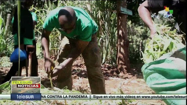 Kenia: Liga de campesinos refuerza trabajo con semillas y prácticas agrícolas tradicionales