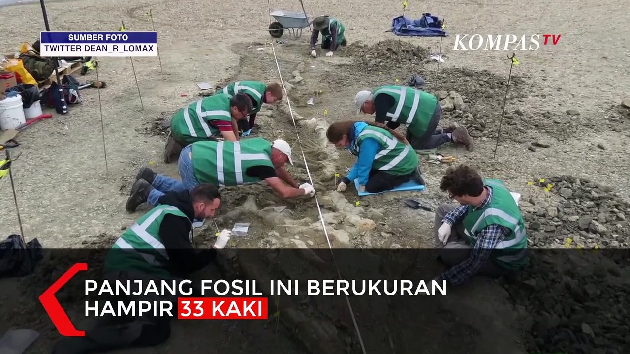 Penampakan Fosil Naga Laut Raksasa 180 Juta Tahun Lalu di Inggris!