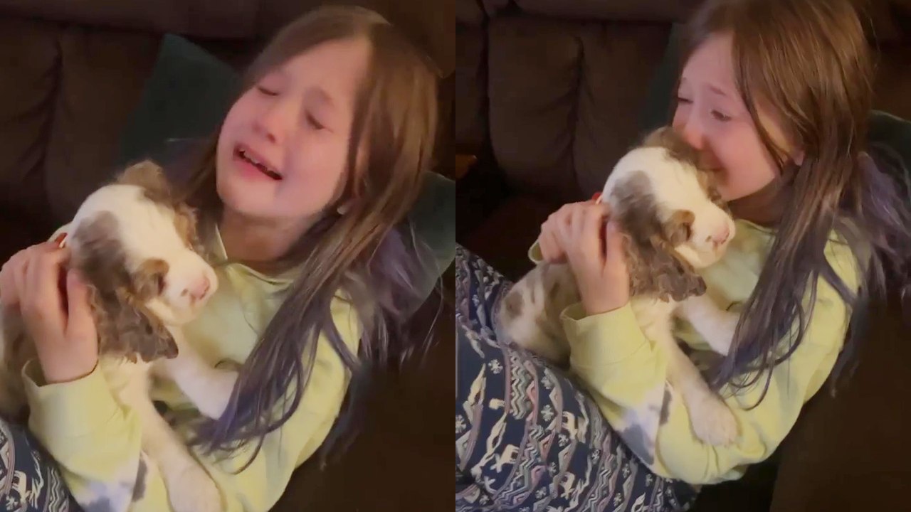 'Sweet girl can't stop crying out of love for her new puppy *Heart Touching*'