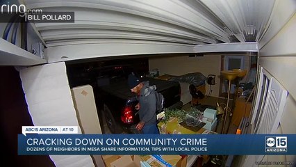 Cracking down on community crime