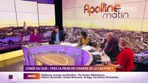 Les histoires de Charles Magnien  : Corée du Sud, vers la prise en charge de la calvitie ? - 11/01