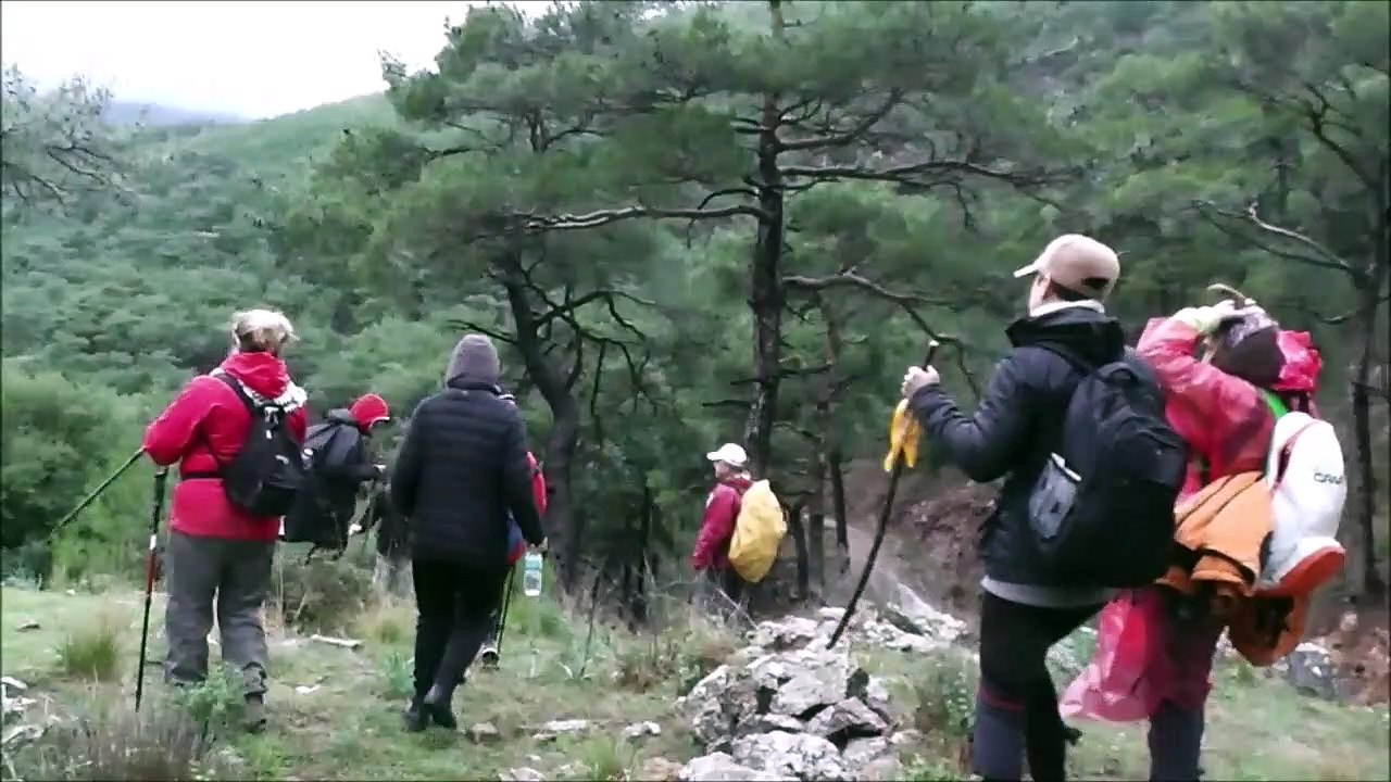 Dereköy Mahmut _D