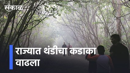 Maharashtra Winter Update : राज्यात थंडीचा कडाका वाढला