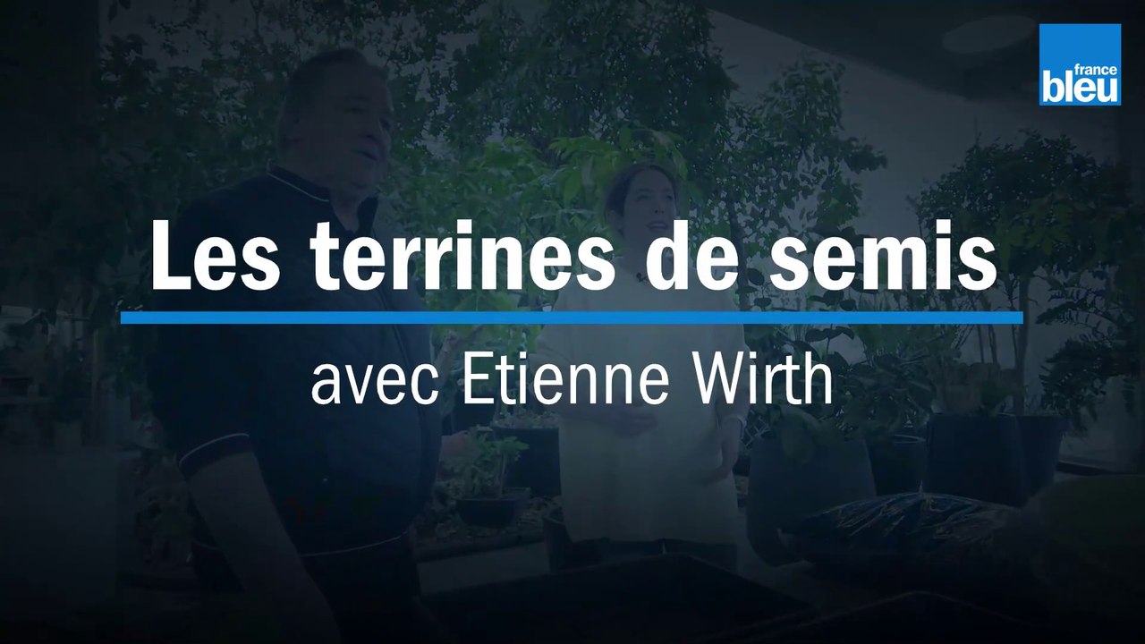 Les terrines de semis - Etienne Wirth