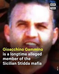 القبض على عضو مافيا هارب منذ 20 عاماً والسبب خرائط غوغل