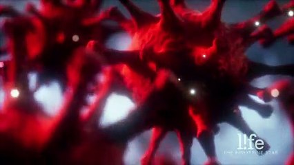 What We Know About The IHU Variant