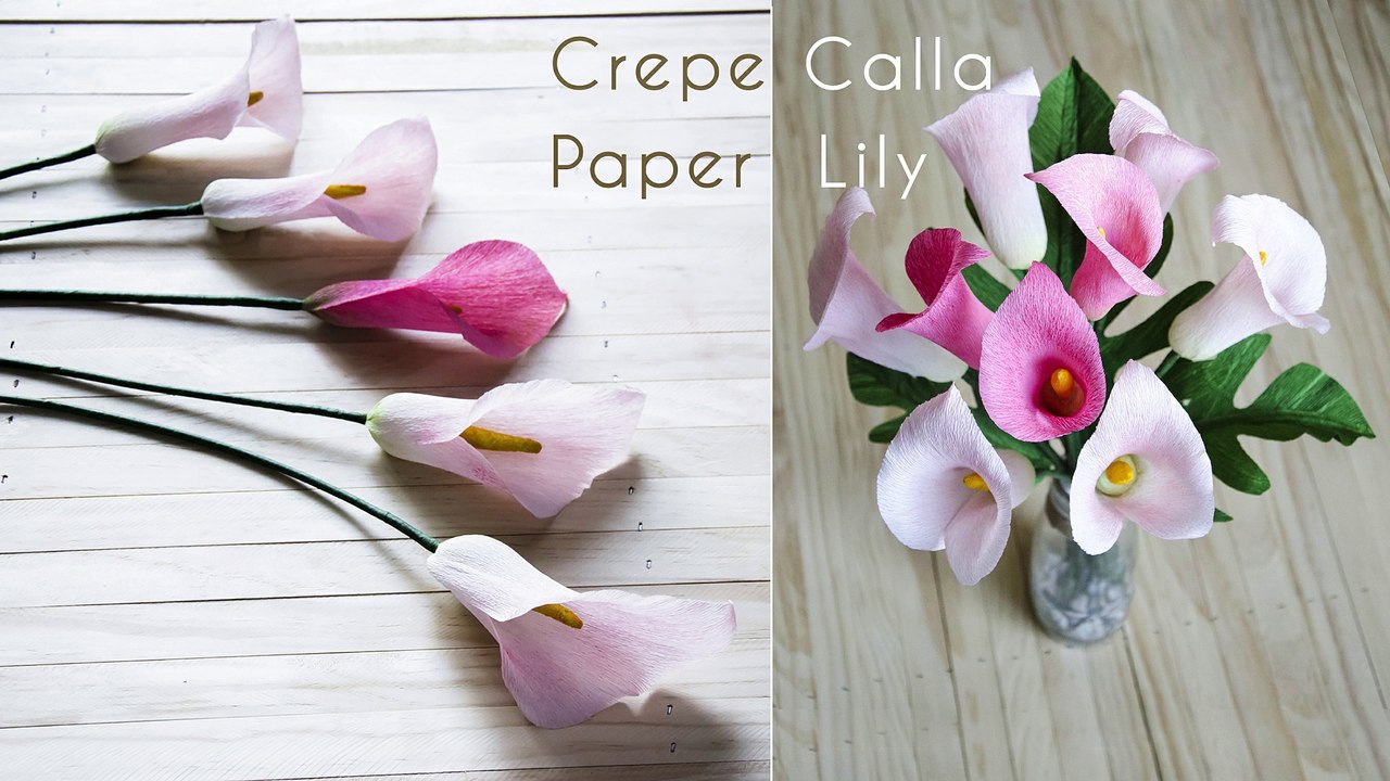 TA Diy Ideas How to make calla lily paper flower |craft ideas| /m/02q5dq_