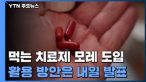 먹는 치료제 모레 도입...활용 방안 내일 발표 / YTN