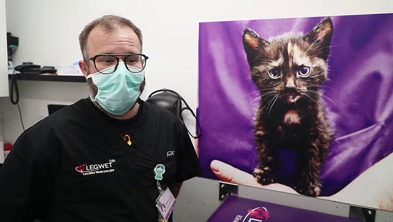 Polens explodierende Energiepreise: 'Energieknappheit wird die Gesellschaft schwer treffen'