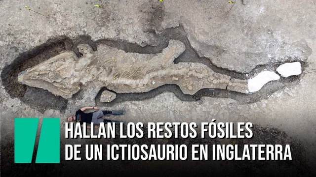 Hallan los restos fósiles de un ictiosaurio en Inglaterra