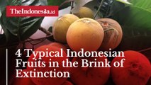 4 Typical Indonesian Fruits in the Brink of Extinction