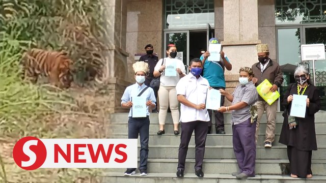 Orang Asli in Kelantan urge govt to address wildlife intrusion, deforestation issue