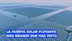 La huerta solar flotante más grande del mundo