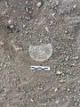 Dara Antik Kentindeki kazıda 1400 yıllık ampulla bulundu