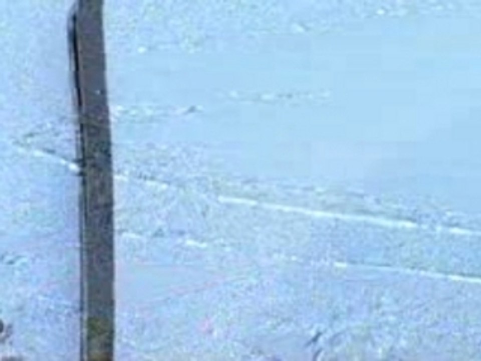 Pitbull Feat Lil Jon - The Anthem