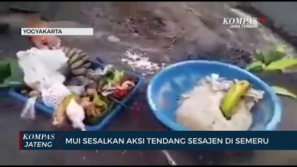 MUI Sesalkan Aksi Tendang Sesajen di Semeru