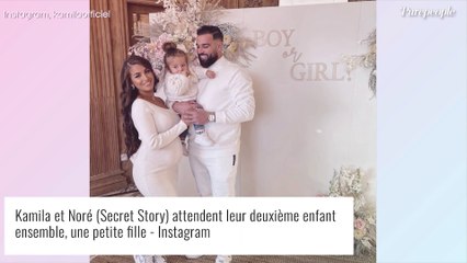 Download Video: Kamila (Secret Story) enceinte : le sexe de son 2e bébé révélé de manière très originale