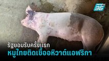 ปศุสัตว์ ยอมรับแล้ว พบเชื้อ ASF ในหมู “เพื่อไทย” แฉเอกสาร รบ.จงใจปกปิดข้อมูล | รอบโลก DAILY