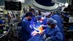جراحون في مستشفى أميركي ينجحون بزرع قلب خنزير في جسم إنسان