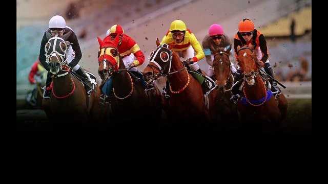 Kocaeli altılı ganyan tahminleri (Sahadan duyumlar) 11.01.2022 Salı