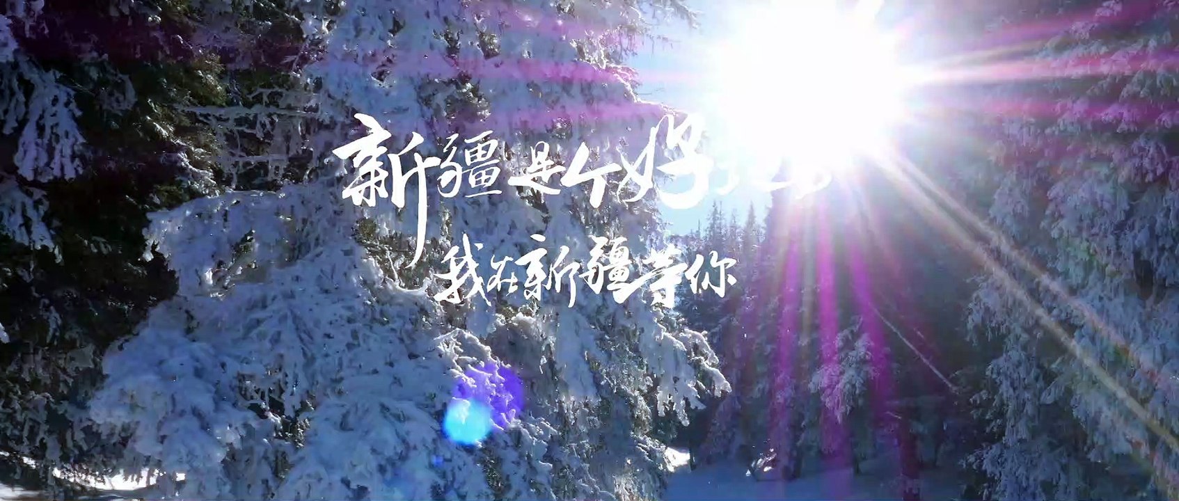 Visite du Xinjiang : Xinjiang aux yeux des touristes 新疆：达人讲新疆