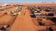 Suudi Arabistan'da dünyanın ilk 5 yıldızlı deve oteli açıldı