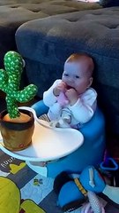 Cactus Toy Copies Baby