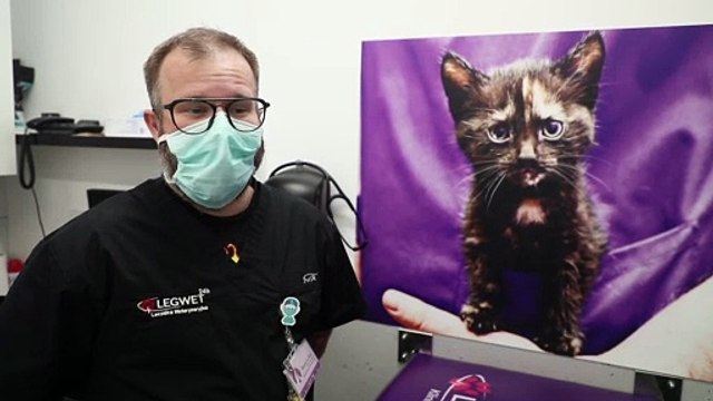 В Польше растет энергетическая бедность