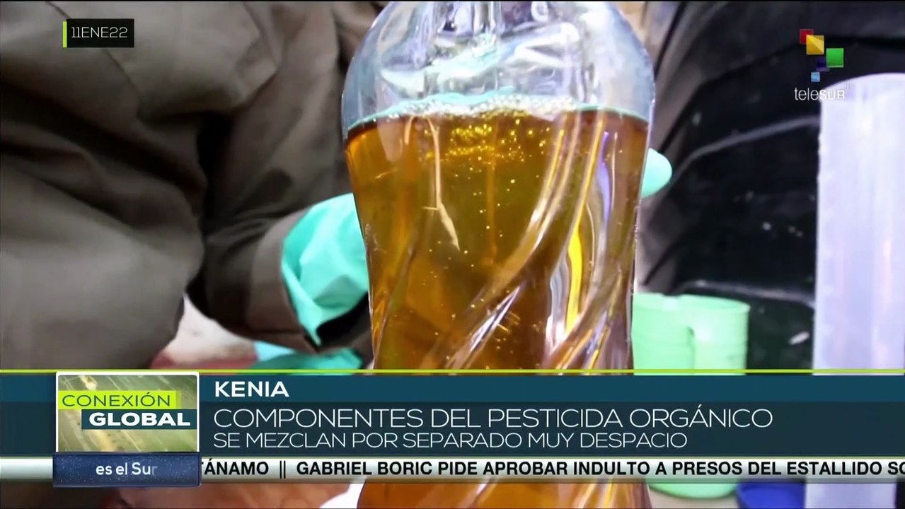 Miembros de la Liga de Campesinos Kenianos elaboran pesticida orgánico