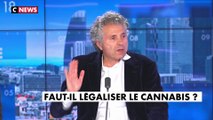 Gilles-William Goldnadel : «Je crains que si on légalise le cannabis, les dealers vont se tourner vers les drogues dures»