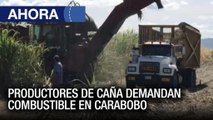 Productores de caña de azúcar en #Carabobo demandan gasoil para la zafra 2022 - #11Ene  - Ahora