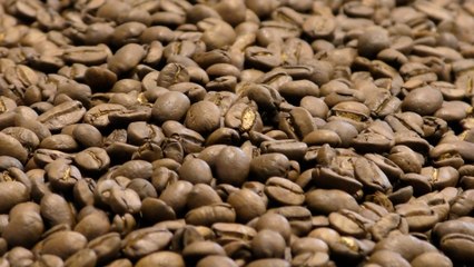 Made in Kent: Bean Smitten