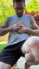 Size Comparison of a Regular Chick vs a Button Quail