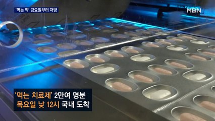 '먹는 치료제' 금요일부터 처방…방역패스 정지 여부도 곧 결정