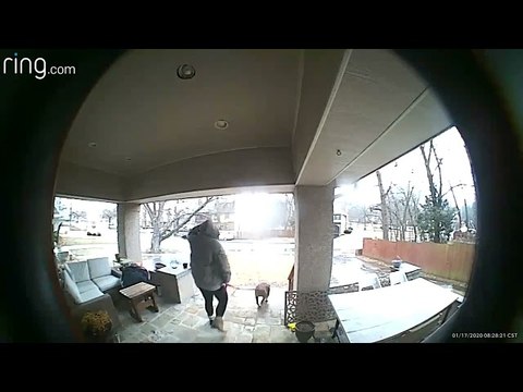 Doorbell Camera Captures Bad Fall on Slippery Steps